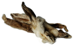 BALTO Uszy królika z futrem 1 kg ( od 70-90 szt)