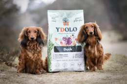 YDOLO Duck - kaczka - karma półwilgotna dla psa (10kg)